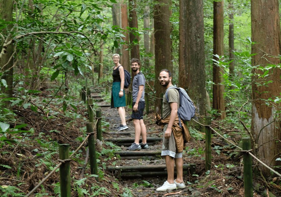 Hakone Hachiri: Old Tokaido Highway Hiking Tour - Why Hakone Hachiri feels like time travel on foot