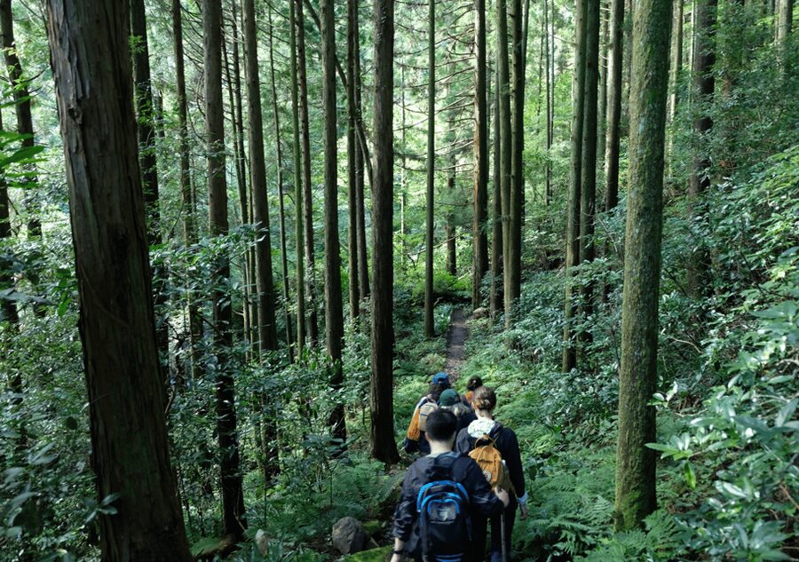Hakone Hachiri: Old Tokaido Highway Hiking Tour - Mishima Taisha Shrine and the Genbe River: closing the loop on the day