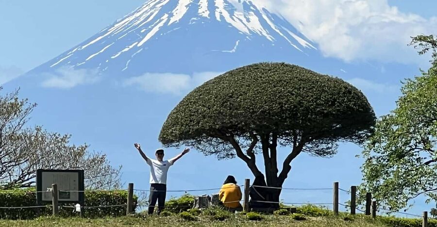 Hakone Hachiri: Old Tokaido Highway Hiking Tour - From Hakone-Yumoto Station to the Sukumo River: starting easy and moving smart