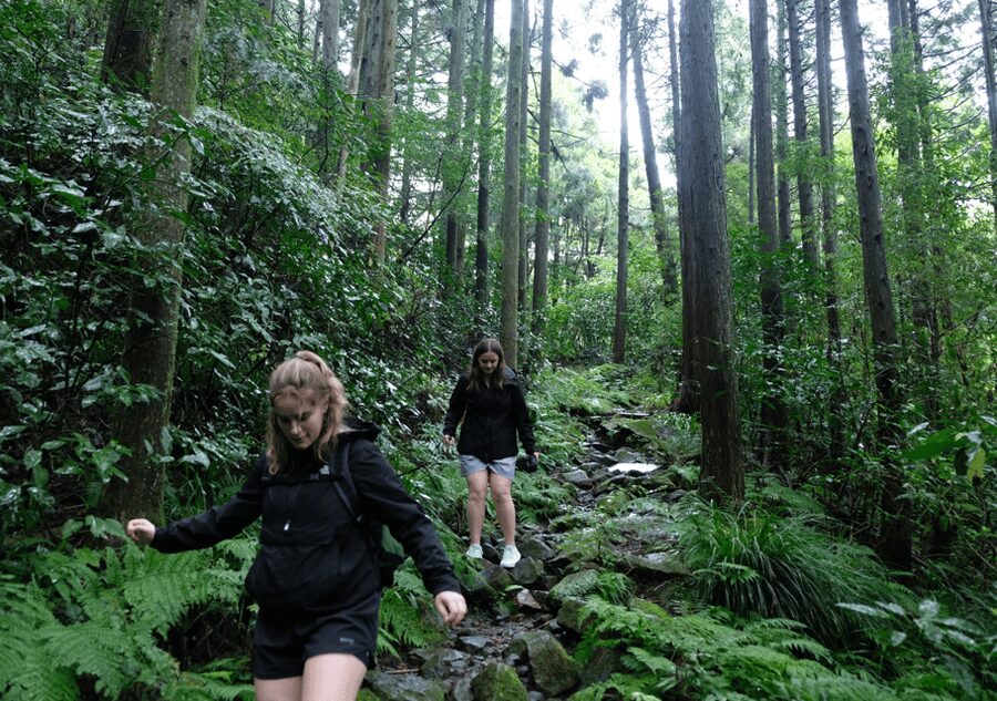 Hakone Hachiri: Old Tokaido Highway Hiking Tour - Hakone Checkpoint: where the Edo government tried to control the flow