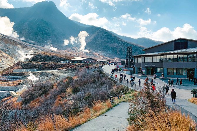 Hakone Private One Day Tour From Tokyo: Mt Fuji, Lake Ashi, Hakone National Park - The value of a private Hakone day trip from Tokyo