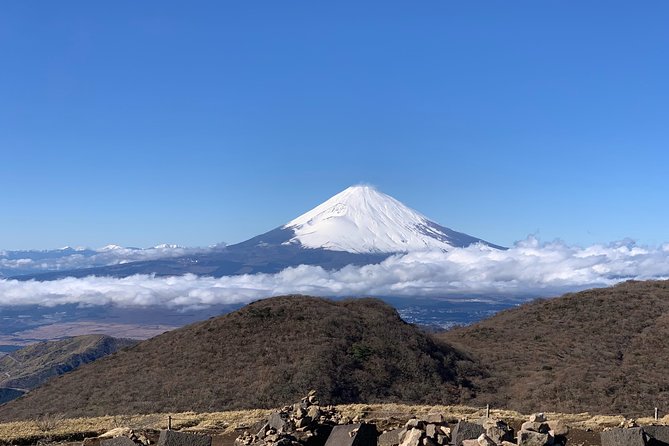 Hakone Private One Day Tour From Tokyo: Mt Fuji, Lake Ashi, Hakone National Park - Owakudani volcanic valley: sulfur air and ropeway drama