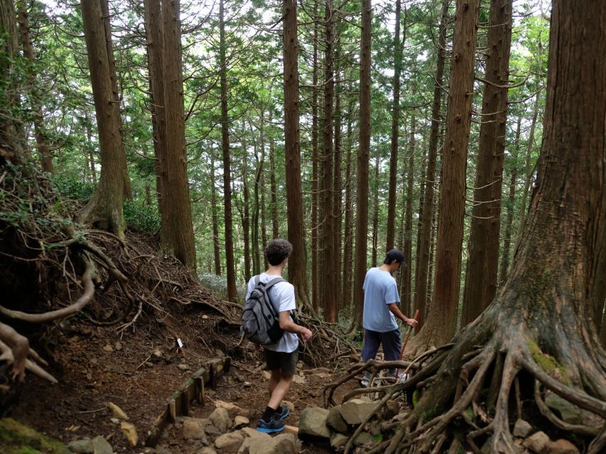 Hakone: Traverse the Hakone Caldera and Enjoy Onsen - Price and value: $154 for guide-led safety and a full Hakone experience