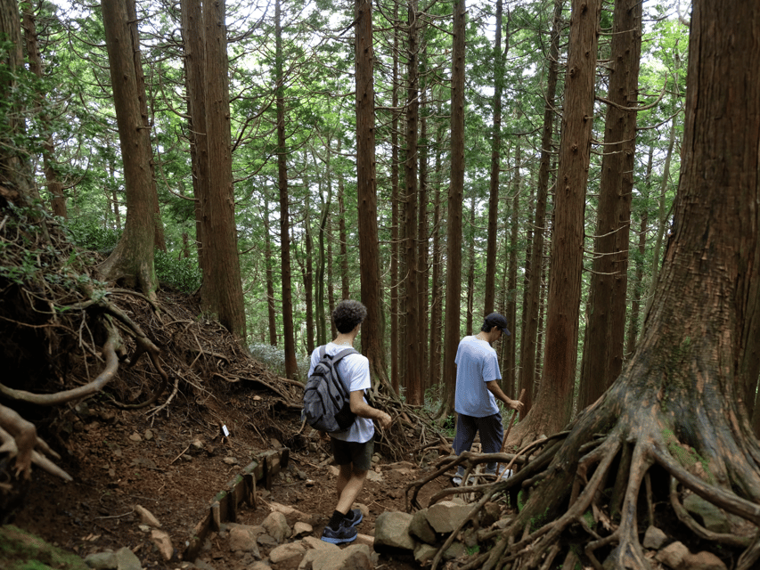 Hakone: Traverse the Hakone Caldera and Enjoy Onsen - What you actually see: Pacific views, volcanic zones, and the ridge’s big payoff