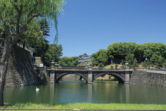 Half-day Tokyo Morning Tour by Hato Bus - Bus Tour Comfort and Pace: What You’re Signing Up For
