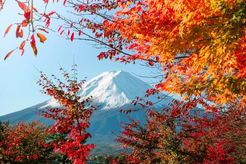 Halfway Up Mt,Fuji, Oshino Hakkai, Kawaguchiko from Tokyo - Price and value for a Mount Fuji hits-in-one-day route