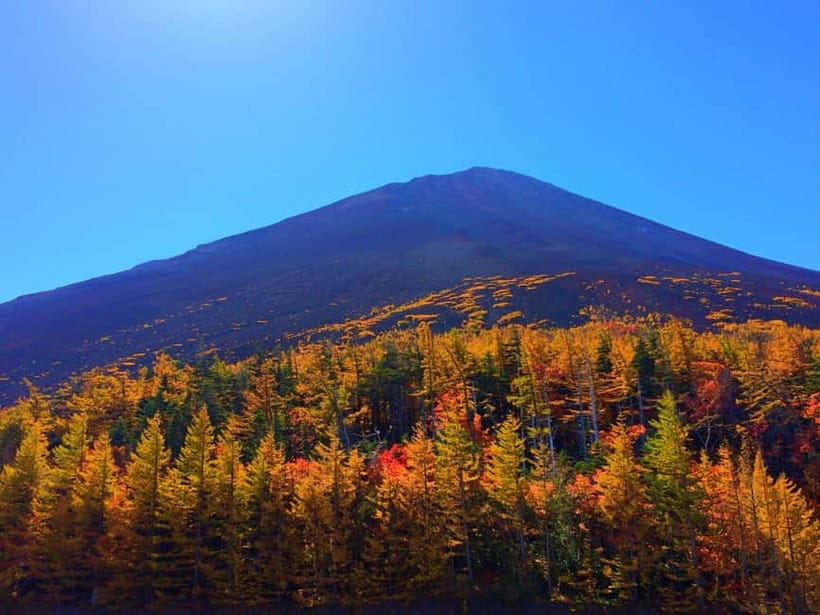 Halfway Up Mt,Fuji, Oshino Hakkai, Kawaguchiko from Tokyo - How the Tokyo pickup and long day logistics really work