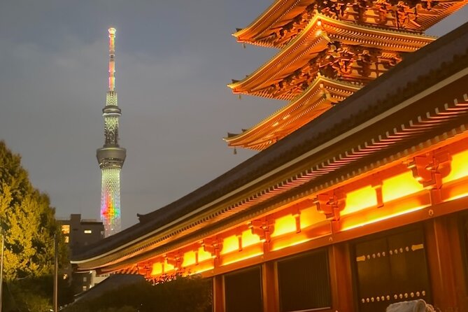 Haneda Airport Private Transfer – Luxury Car & Meet & Greet - Communication and Language: What to Do If English Isn’t a Sure Thing