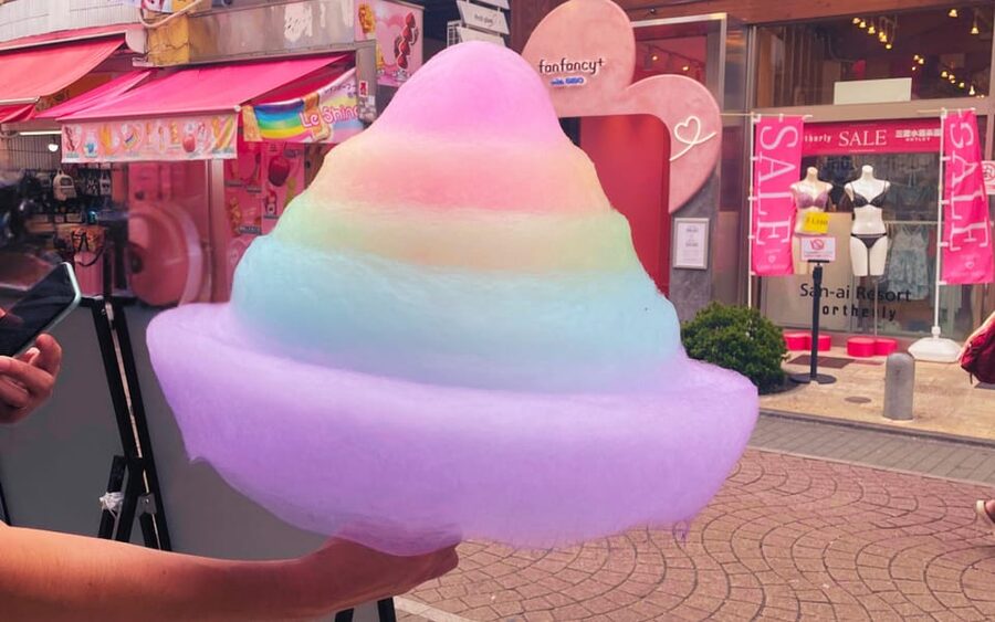 Harajuku : Blend of Tradition & Pop Culture for Family Tour - Should you book this Harajuku and Meiji tour?
