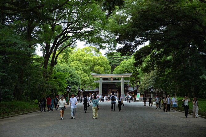 Harajuku Meiji Shrine Walking Tour in Tokyo - Logistics that actually matter: meeting point, mobile ticket, and walk comfort