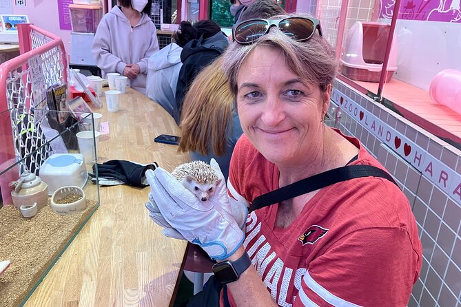 Harajuku Private Tour: Kawaii Fashion & Animal Cafe Included - Price and Value: What You’re Paying For (and What You’ll Still Spend)