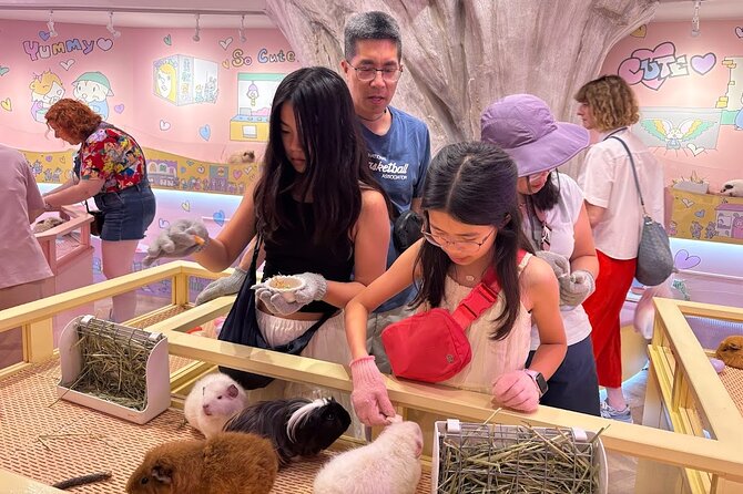 Harajuku Private Tour: Kawaii Fashion & Animal Cafe Included - Timing, Walking Pace, and What to Bring