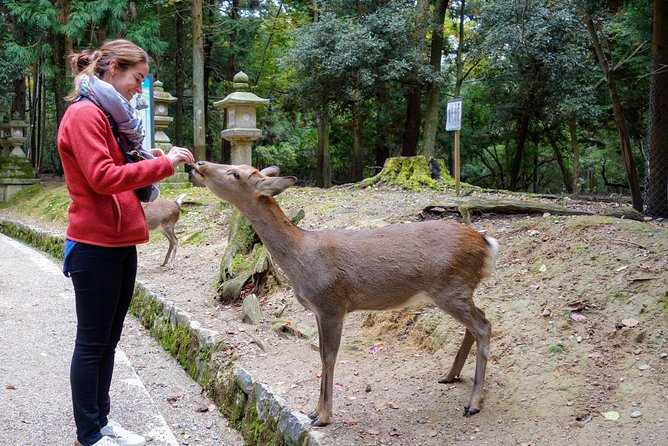 Highlights of Japan Tour: 10-day Small Group - Key points before you go