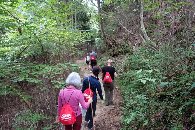 Highlights of Japan Tour: 10-day Small Group - Kyoto Day 7: Kiyomizu-dera and the Higashiyama Walk