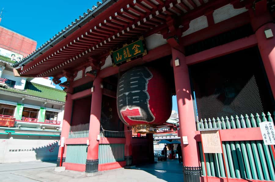 Highlights of Tokyo Private Tour with a Licensed Guide - Who this tour is best for (and who may prefer DIY)