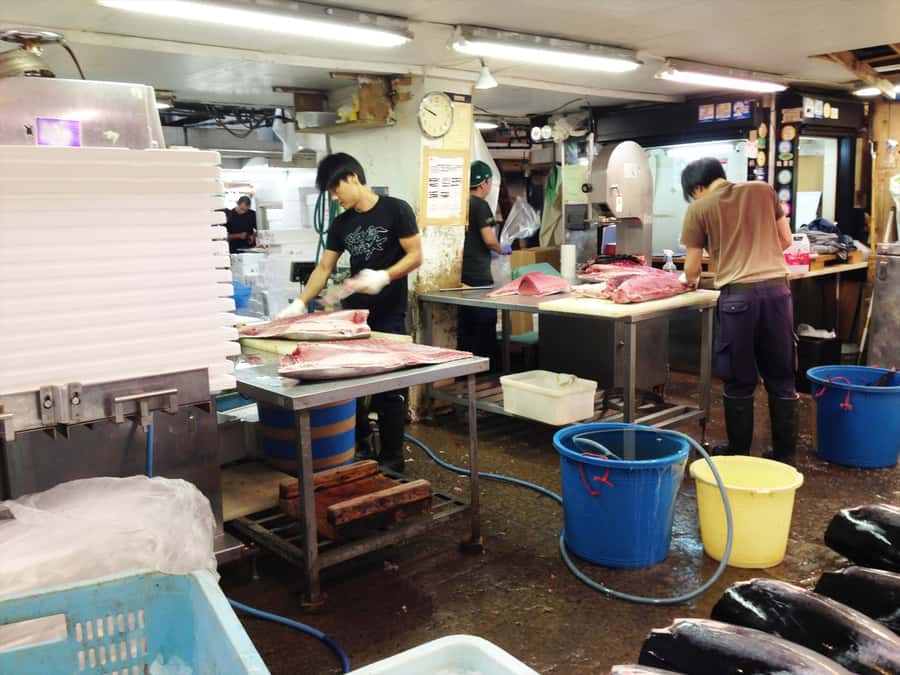 Highlights of Tokyo Private Tour with a Licensed Guide - Tsukiji Outer Market: seafood energy and easy, hands-on food browsing