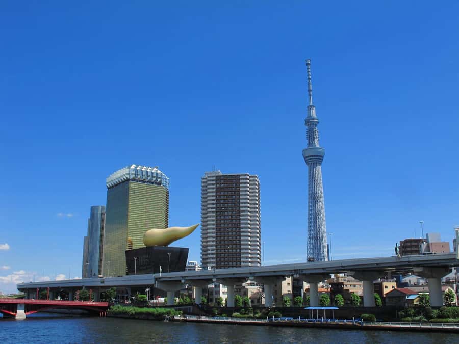 Highlights of Tokyo Private Tour with a Licensed Guide - Harajuku and Omotesando: style streets plus real shopping time