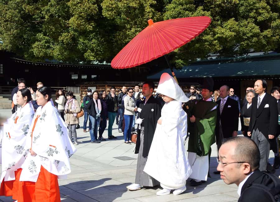 Highlights of Tokyo Private Tour with a Licensed Guide - Timing tips for a smoother day (and fewer stress moments)