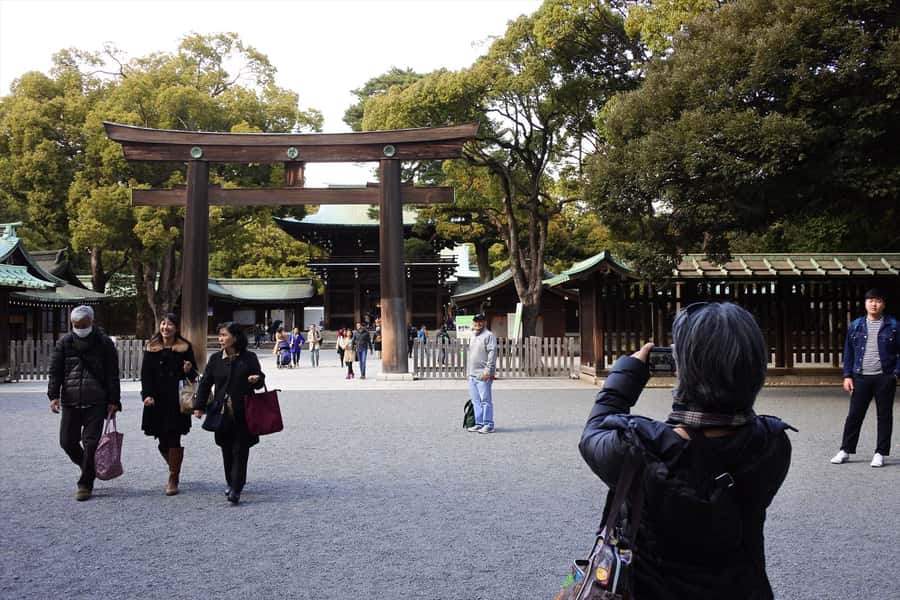 Highlights of Tokyo Private Tour with a Licensed Guide - Price and value: when $466 makes sense for a private guide