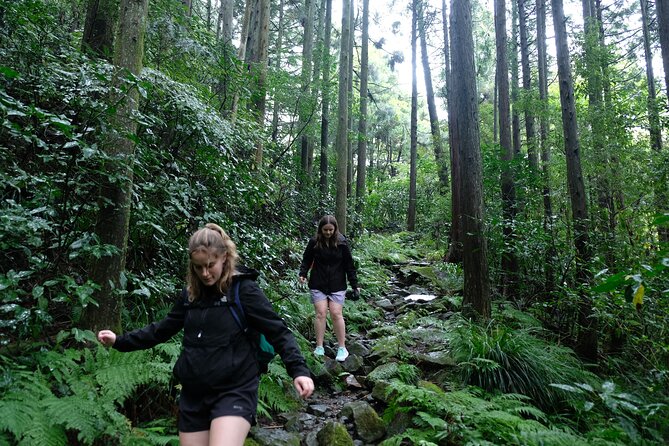 Hike Japan Heritage Hakone Hachiri (Half Day) - Key things to know before you go