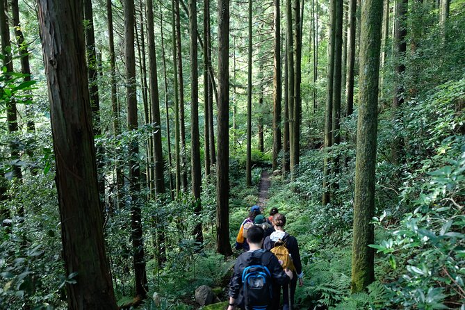 Hike Japan Heritage Hakone Hachiri (Half Day) - Hakone Amazake Tea House: a 400-year break with real roadside flavor
