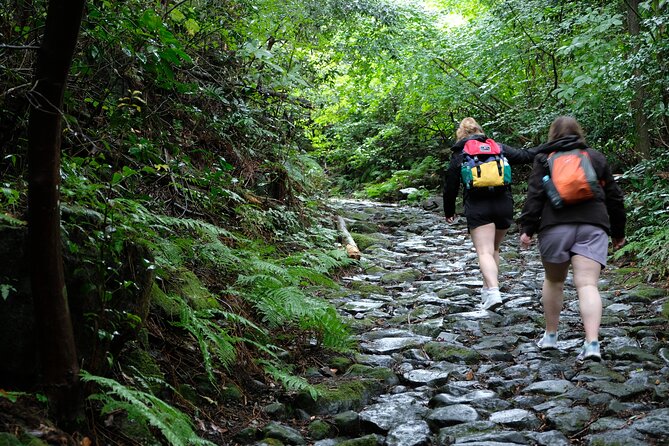 Hike Japan Heritage Hakone Hachiri (Half Day) - How hard is the Hachiri hike, and what you should bring