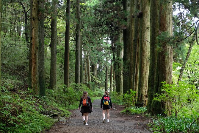 Hike Japan Heritage Hakone Hachiri (Half Day) - Getting from Hakone-Yumoto to the trail without losing your morning