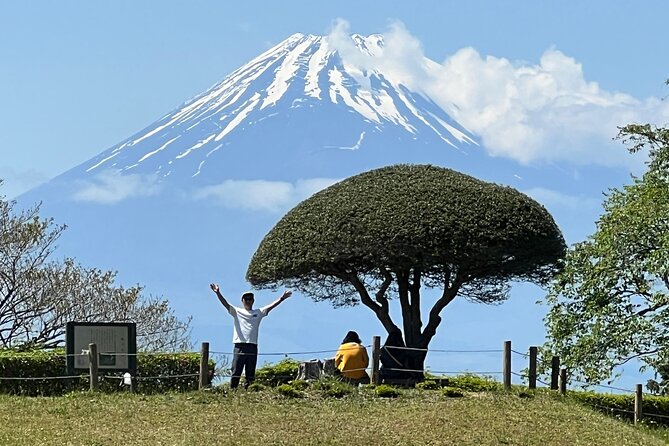 Hike Japan Heritage Hakone Hachiri with certified mountain guide - Key Points Before You Go