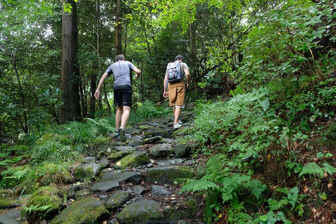 Hike Japan Heritage Hakone Hachiri with certified mountain guide - Lunch in Hakone-machi, Then a Bus Reroute to Keep the Day Smooth