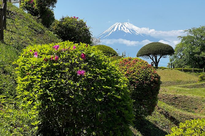 Hike Japan Heritage Hakone Hachiri with certified mountain guide - Price and Logistics: Is $158.52 Good Value?