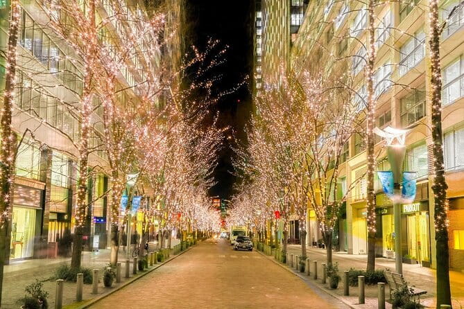 Holiday Lights Walk Tour Hibiya Midtown Tokyo Station Marunouchi - Meeting at THE STAND (Yurakucho) and how to start without stress