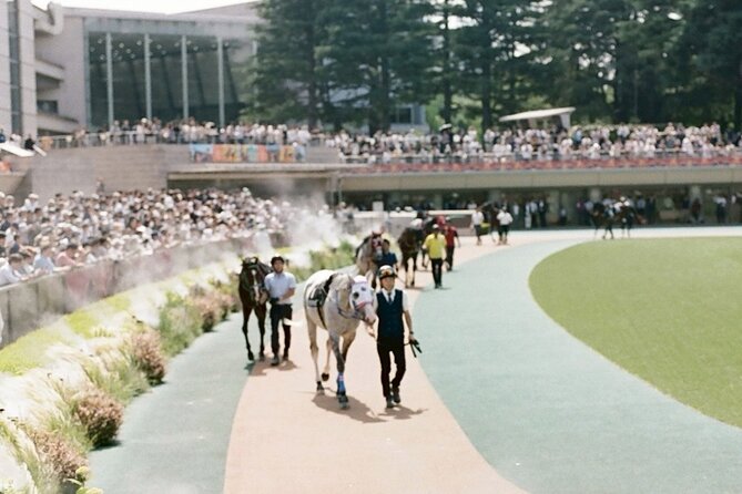 Horse Racing Tour with Local Fans in Tokyo Racecourse - From Paddock Energy to Grandstand Views: How the Day Unfolds