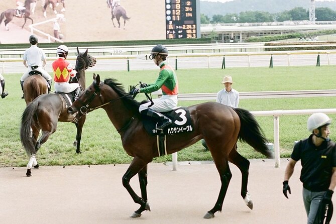 Horse Racing Tour with Local Fans in Tokyo Racecourse - Small-Group Comfort: Why 12 People Changes Everything