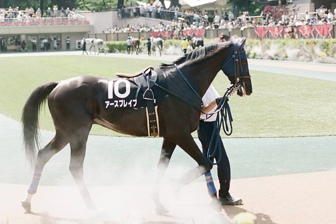 Horse Racing Tour with Local Fans in Tokyo Racecourse - Who Should Book This Tokyo Horse Racing Tour