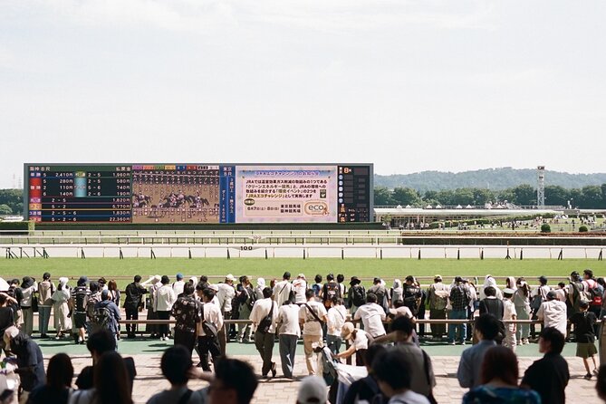 Horse Racing Tour with Local Fans in Tokyo Racecourse - The Easy-Start Lesson: Rules of Japanese Horse Racing Made Clear