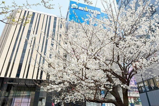 Ikebukuro Anime and Game Culture Experience Tour - Ikebukuro’s Anime-and-Games Route Makes Sense in 3 Hours