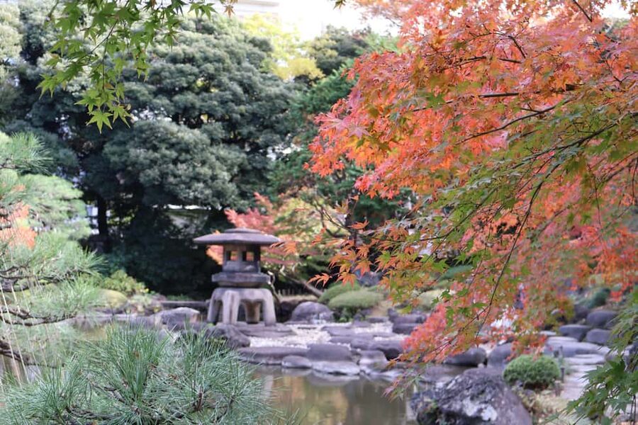 Imperial Palace Tour: Discover Samurai History with a Guide - Timing, Pace, and Comfort: What to Bring (and What to Skip)