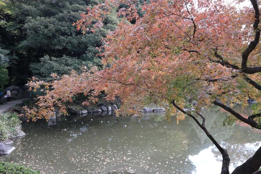Imperial Palace Tour: Discover Samurai History with a Guide - Should You Book This Imperial Palace East Gardens Tour?