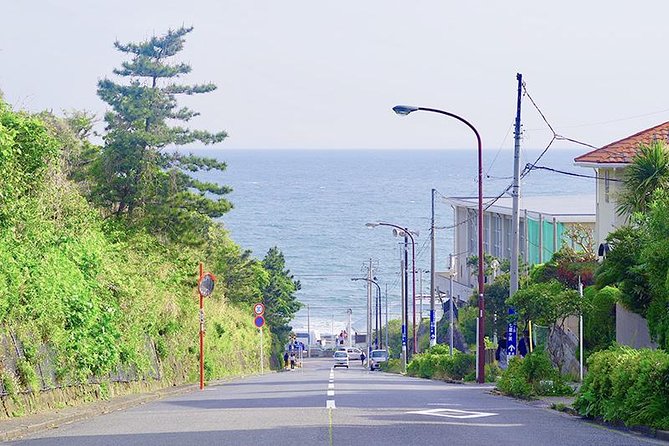 Introducing all the Famous Spots in Kamakura and Enoshima! - Stop 4: Hase-dera Flower Temple and seasonal walking