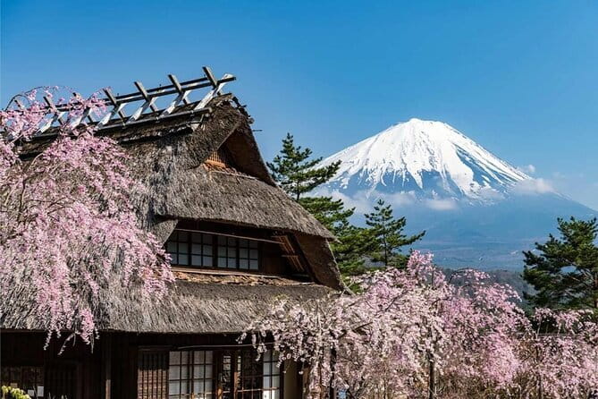 Japan's Best Mount Fuji Tour - Fujiyoshida Honcho Street: lunch you choose, atmosphere you feel