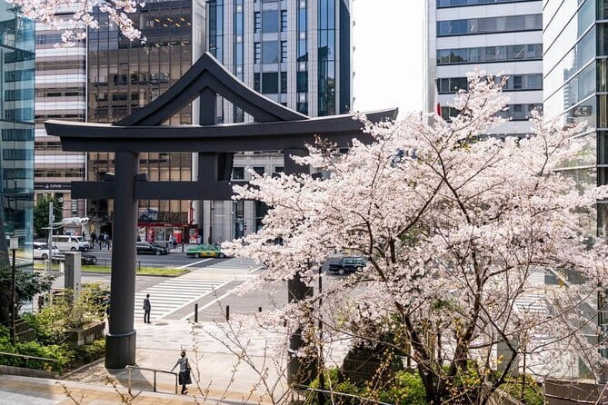 Japan's Best Mount Fuji Tour - Oishi Park by Lake Kawaguchi: when spring weather cooperates