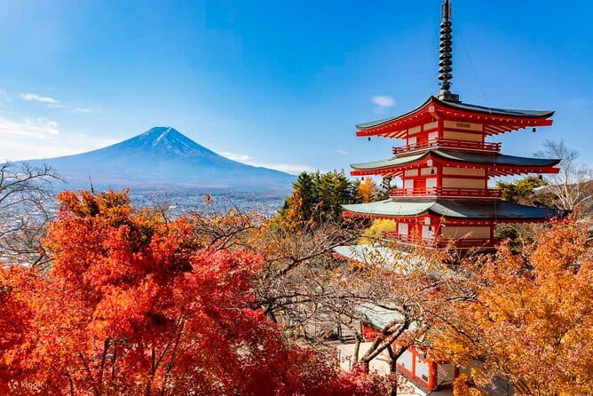 Japan's Best Mount Fuji Tour - The Arakurayama Sengen Park viewpoint: Mt. Fuji + a big climb vibe