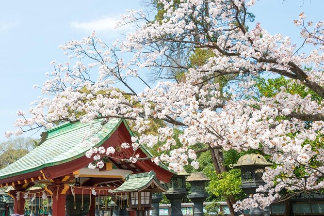 Japanese Food Experience Night Tour in Ueno - Key highlights you’ll feel during the night