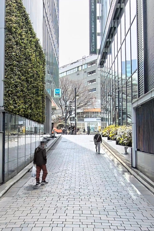 Kabukicho Macabre Tour - the Real Tokyo Vice - Murder Sites, Haunted Corners, and the Art of Place-Based Storytelling