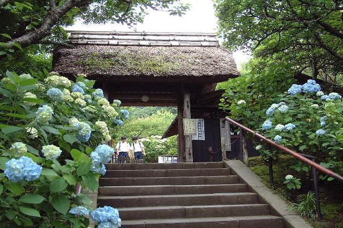 Kamakura 8 hr Private Walking Tour with Licensed Guide from Tokyo - Choosing between Zen classics and hydrangea-season beauty