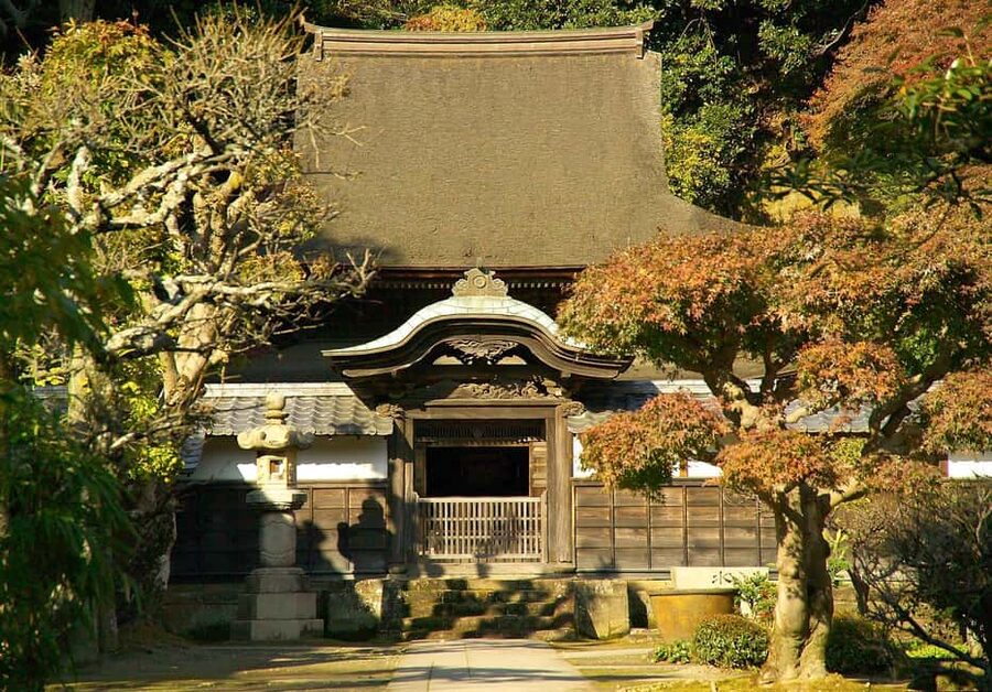 Kamakura: A Journey Through Medieval Japan - Tsurugaoka Hachimangu: The Shrine That Anchors the City