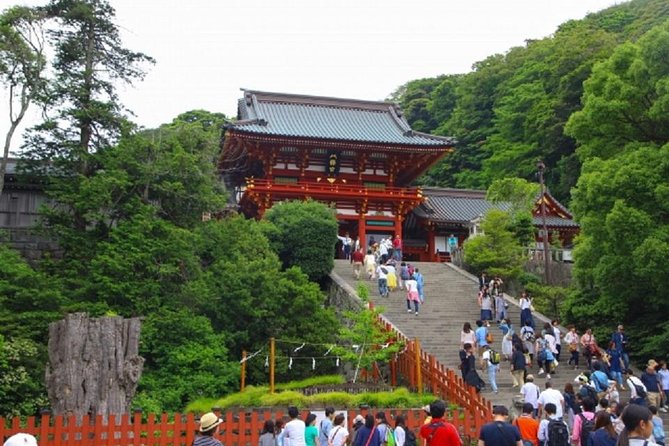 Kamakura Bamboo Forest and Great Buddha Private Tour - Komachidori Street Stop: Food and Shops Without Losing the Day