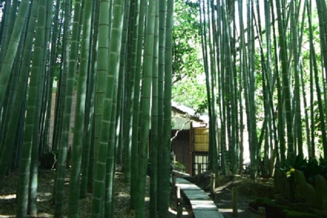 Kamakura Bamboo Forest and Great Buddha Private Tour - Guide Quality Can Vary: How to Get the Best Day From Your English Guide