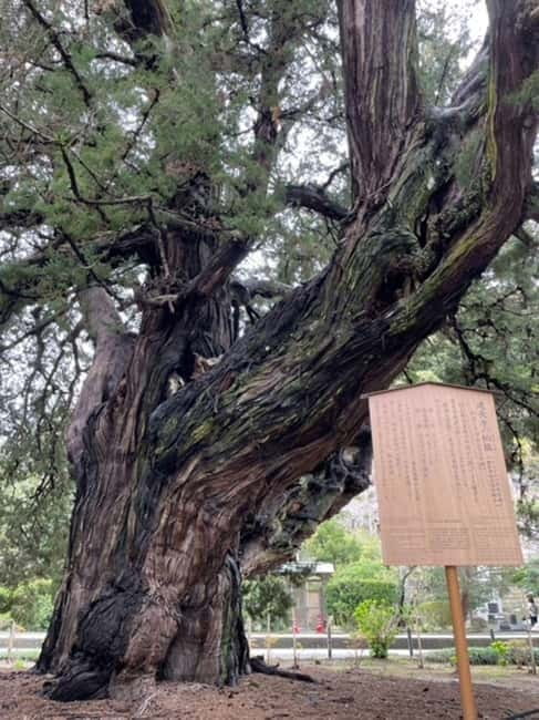 Kamakura; First Samurai Capital walking tour - FAQ