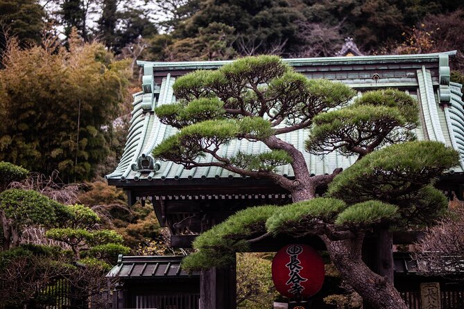 Kamakura Full-Day Private Tour from Tokyo (Customizable) - Key highlights you’ll care about